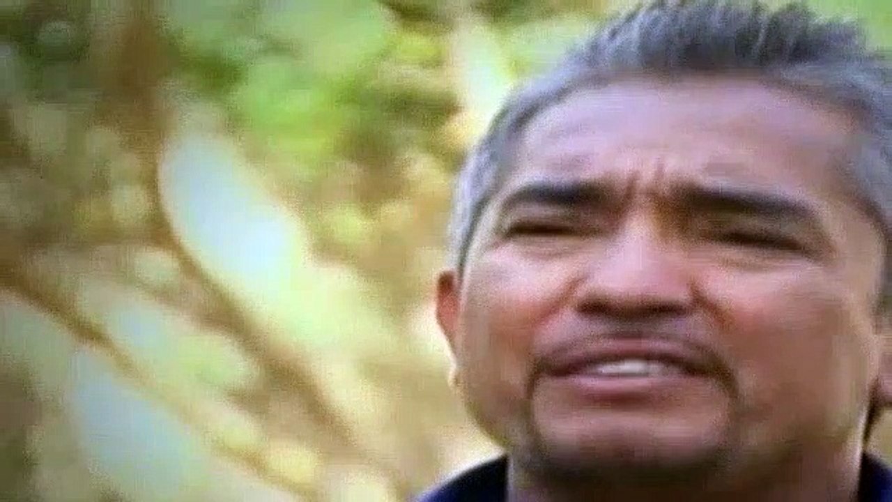 The Dog Whisperer Season 4 Episode 7 Hudson & Orchid, And LA Animal Control video Dailymotion