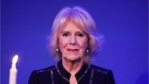 VOICI - Camilla Parker Bowles : qui est cet autre homme dont elle est particulièrement proche ?