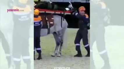 Ölmediyse bile bu hareketten sonra ölmüştür! Atkurtaran pek