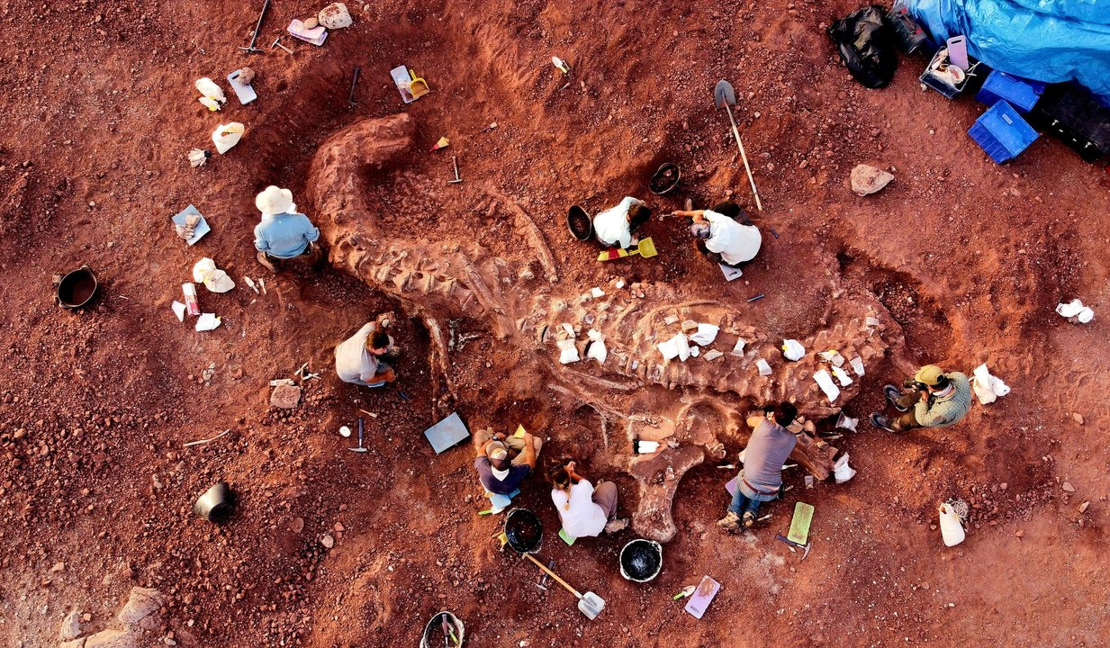 « Un dispositif de sécurité extrêmement lourd » 25 jours dans le désert au Niger pour des fossiles de dinosaures