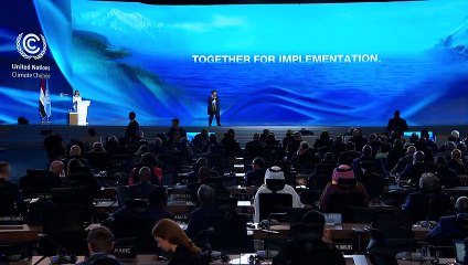 Países emergentes vão precisar de U$2,4 trilhões para combater mudanças climáticas