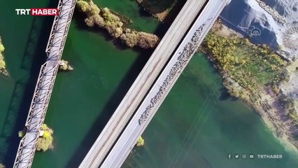 5 aydır yaylada olan göçerler dönüş yolunda