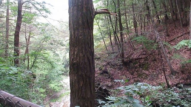 Buttermilk Creek inside Buttermilk Falls State Park