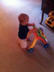 Logan Xavier (2013) Walking