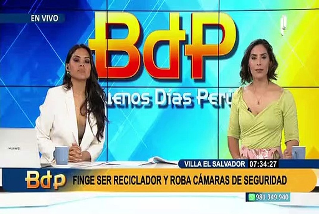 Maltrato animal: denuncian que pareja golpea a diario a sus perritos en Santa Anita
