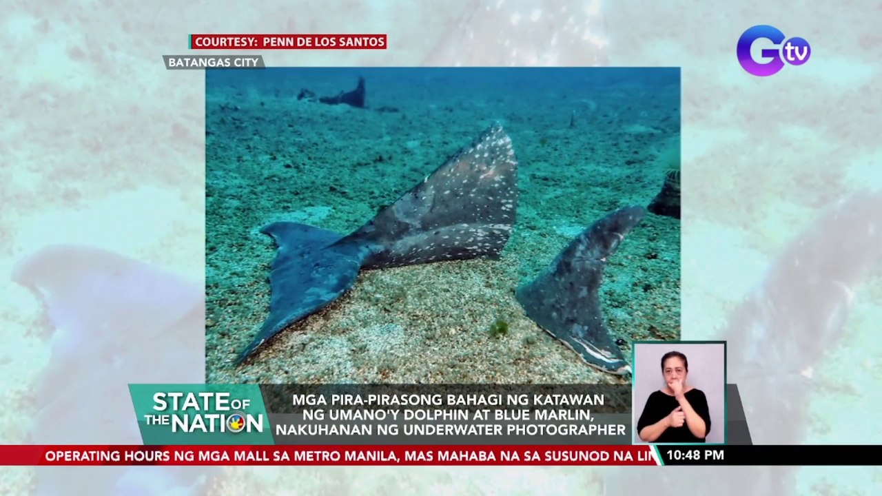 Mga pira-pirasong bahagi ng katawan ng umano'y dolphin at blue marlin, nakuhanan ng underwater photographer | SONA