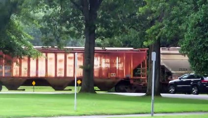Norfolk Southern Salt Train heading south at Stewart Park