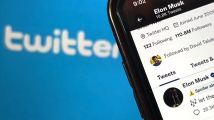 Elon Musk bannit les comptes imitateurs de Twitter