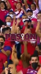 Pasión Mundialista - Costa Rica #shorts
