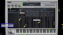 KORG TRITON de Legacy Collection 3 VSTi WINDOWS Y MAC TUTORIAL COMPLETOTodas las categoríasBY Samples Kontakt y Más