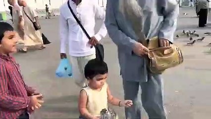 Makkah k Kabotar _ Makkah live today