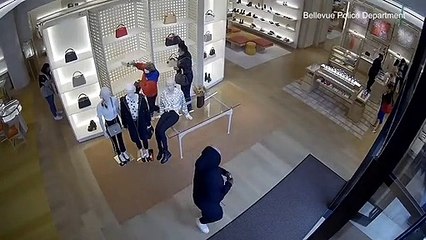 Un voleur s'assomme contre une vitrine en voulant fuite une boutique Louis Vuitton