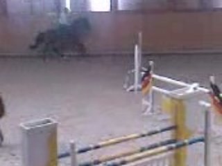 Cours de saut a marsens