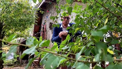 Les boissons magiques de Takubeh Kombucha