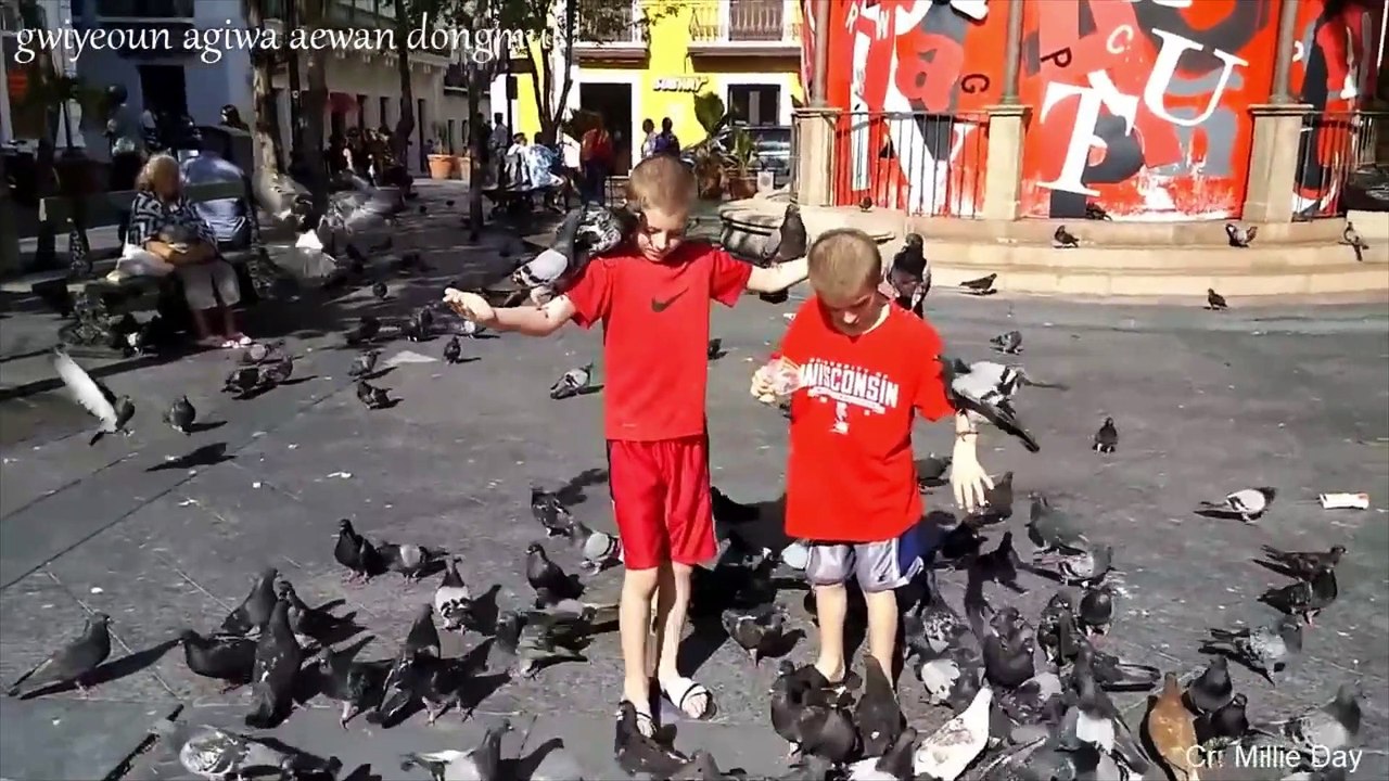 When You Mess With Humorist Animals Part 2