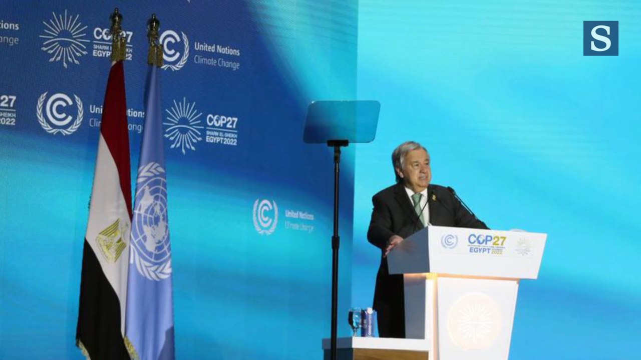 Tout savoir sur la COP27