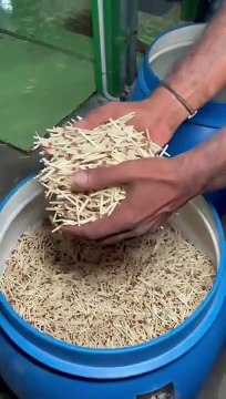 Voilà comment on fabrique des allumettes