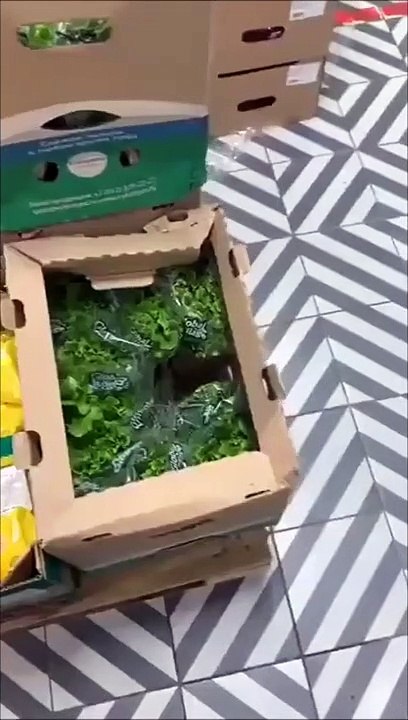 Salade fraiche... accompagné de viande encore plus fraiche