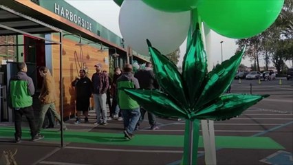 5 States Could Legalize Cannabis Through Midterm Ballot Initiatives