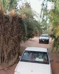 ما سبب تنقل العرب القدماء في مثل هذه الأيام - التفاصيل في تقويم مع خالد الزعاق. - نشرة_الرابعة - السعودية - @dralzaaq