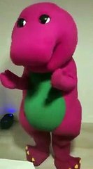 Barney - Classic Songs Show 🎶