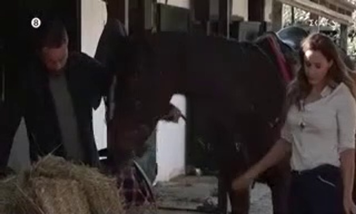 ΑΓΡΙΑ ΓΗ - ΕΠΕΙΣΟΔΙΟ 37