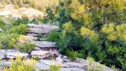 My first vlog on Dailymotion - My first video on Dailymotion