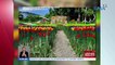 Halos 9,000 tulips na gawa sa recycled na plastic bottles, bagong atraksyon sa isang farm | UB