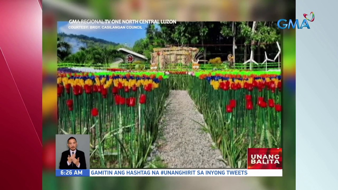 Halos 9,000 tulips na gawa sa recycled na plastic bottles, bagong atraksyon sa isang farm | UB