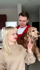 Don't Do with Dog #Funny animal #Funny Video #Funny Kids