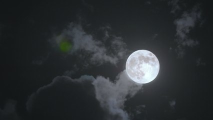 Most immature moon signs