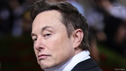 Elon Musk's Baby Mamas All Have THIS Surprising Thing In Common