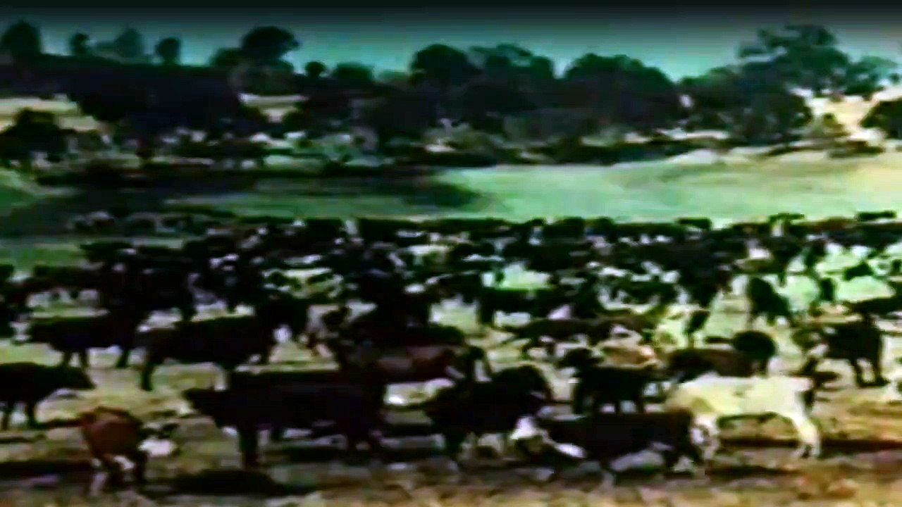 Die Leuteder Shiloh Ranch Staffel 3 Folge 8 - Part 01 HD Deutsch