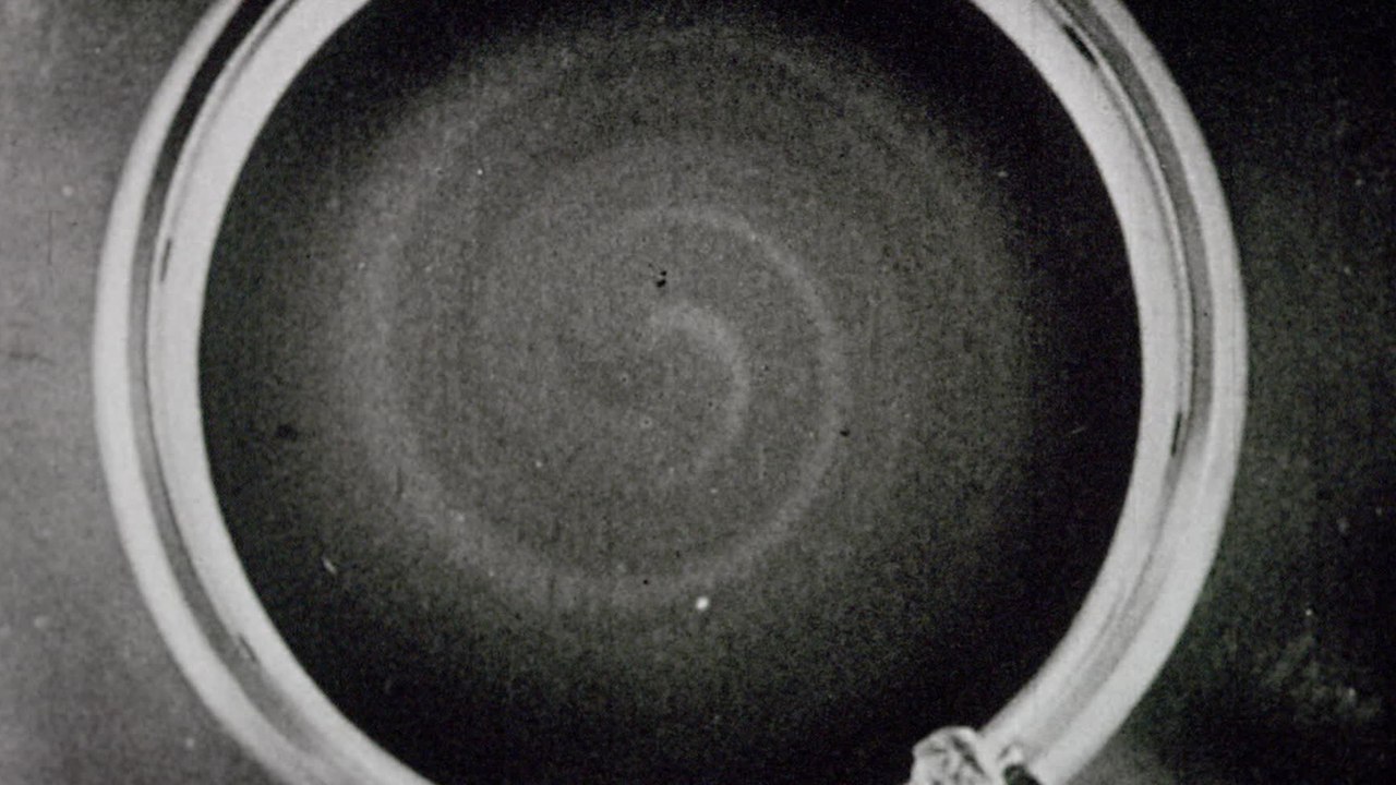 These zodiac signs don't like taking risks