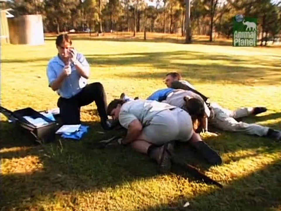 Crocodile Hunter Staffel 4 Folge 10 HD Deutsch