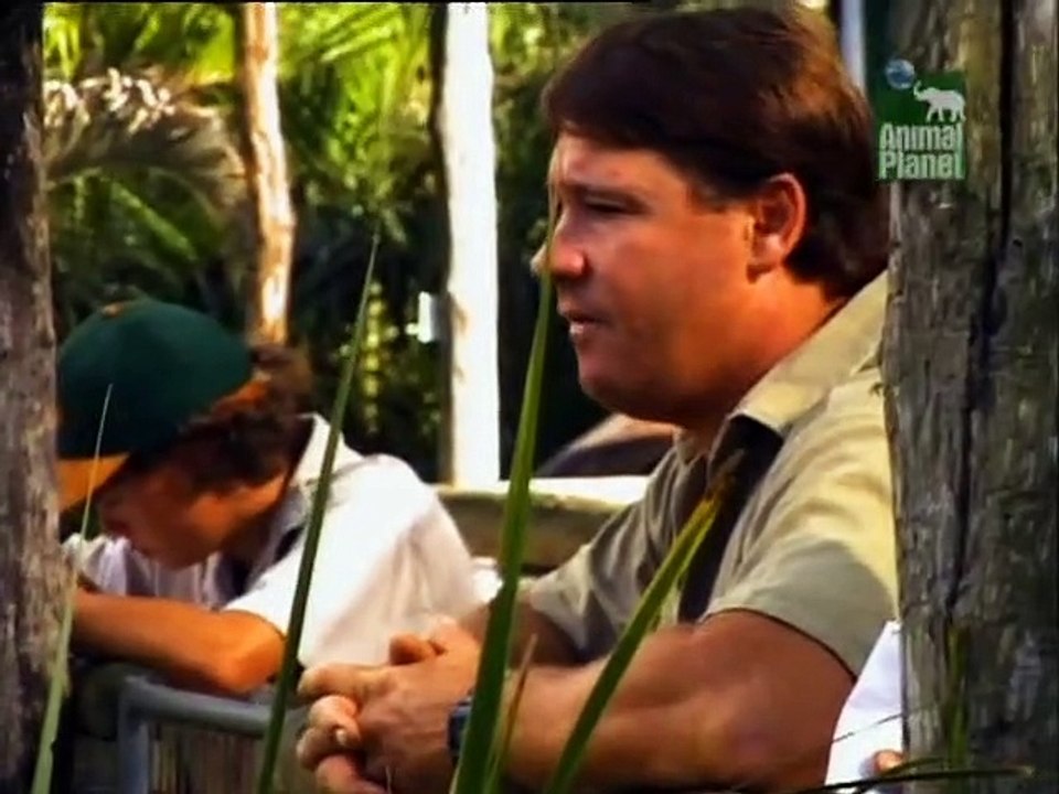 Crocodile Hunter Staffel 5 Folge 7 HD Deutsch