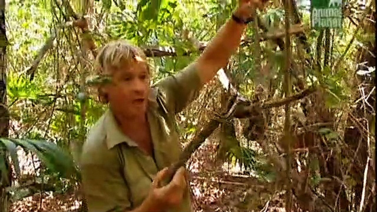 Crocodile Hunter Staffel 5 Folge 4 HD Deutsch