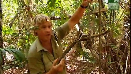 Crocodile Hunter Staffel 5 Folge 4 HD Deutsch