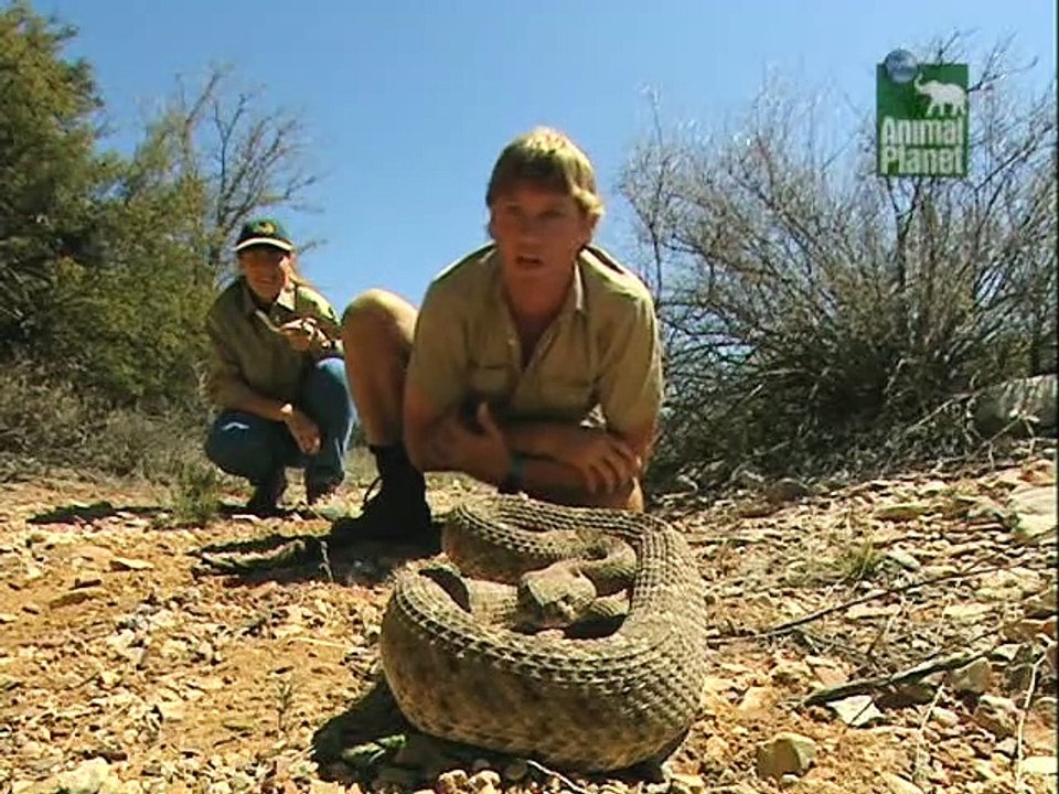 Crocodile Hunter Staffel 5 Folge 6 HD Deutsch