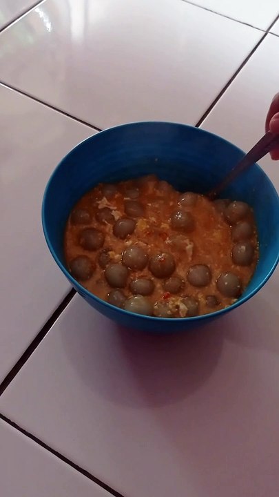 baso aci pedes segerr