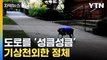 [자막뉴스] 물에서 헤엄치다 도로에...기상천외한 정체 / YTN