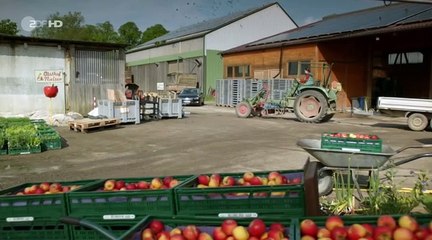 SOKO Wismar Staffel 17 Folge 14 HD Deutsch