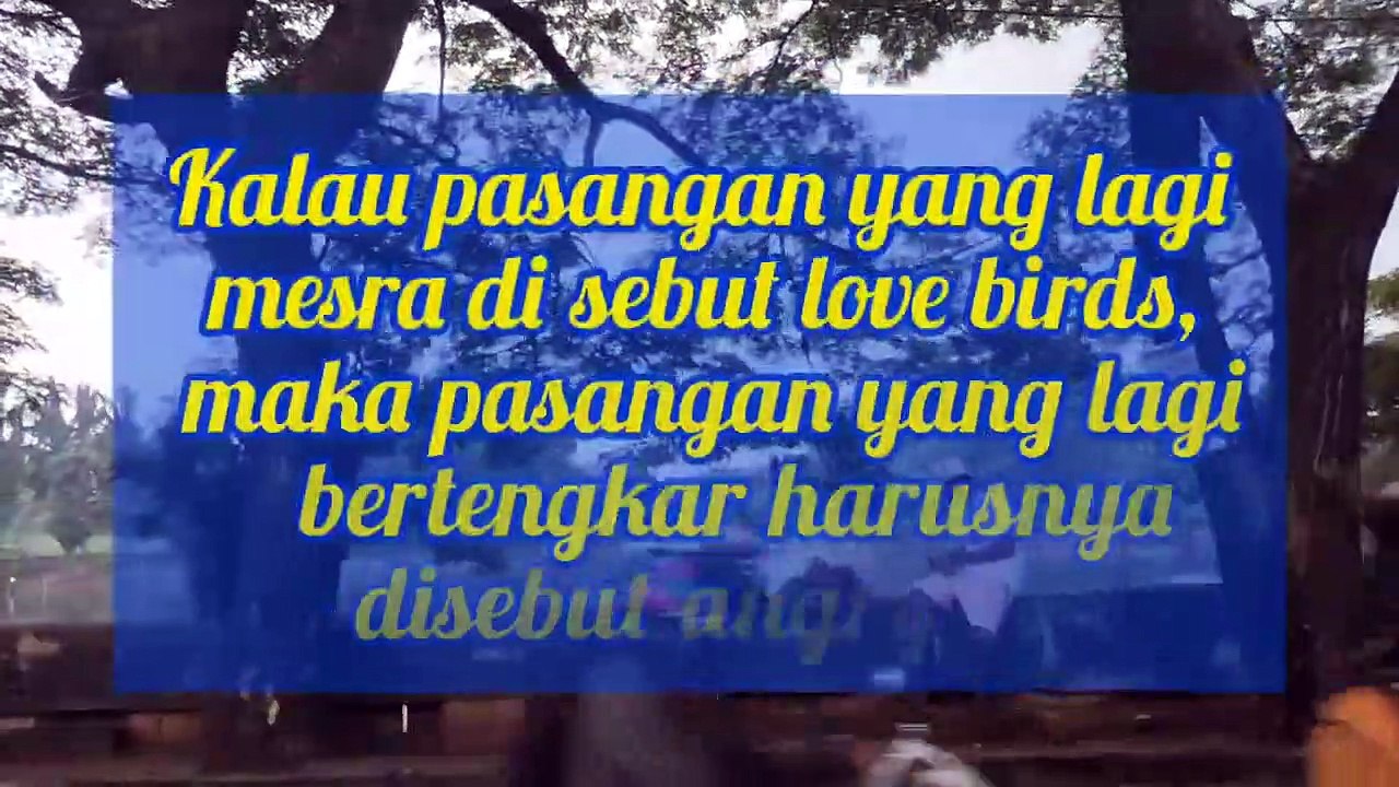 Kata kata mutiara lucu tapi penuh makna tentang suami istri. cocok untuk status wa dan facebook