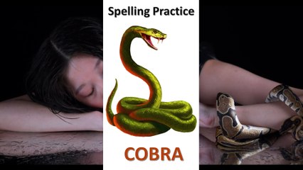 Spelling Practice, a bit longer. Clip No. 5