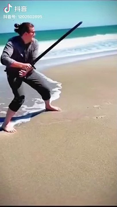 Dog funny fight video #comedy #dog