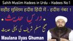 First Sahi Muslim Hadith - Dars e Hadees in Urdu Sahih Muslim Sharif by Maulana Ilyas Ghaman