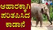 Wild Elephant Comes In Search Of Food To A Village In Hassan | Public TV