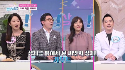 『카무트』 탄수화물은 적고 단백질 함유량이 높은 곡물 TV CHOSUN 221109 방송