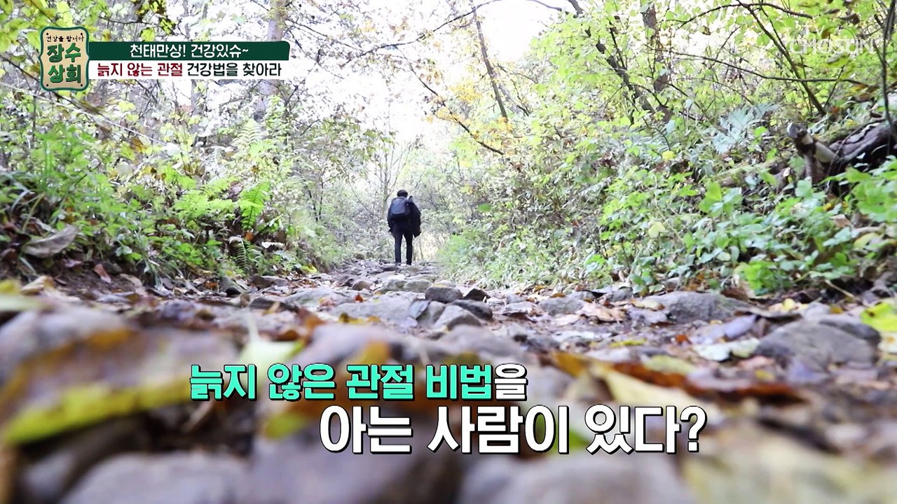 뼈와 관절 건강에 도움을 주는 산에서 사는 ‘산골조개’ TV CHOSUN 20221109 방송