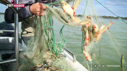 İstanbul'da kaçak avcılara göz açtırılmıyor: TRT Haber denetimlere katıldı